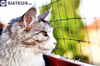 Siatki Ciechanów - Siatka na balkony dla kota i zabezpieczenie dzieci dla terenów Ciechanowa