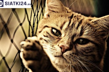 Siatki Ciechanów - Siatki na balkony - zabezpieczenie dzieci i zwierząt dla terenów Ciechanowa